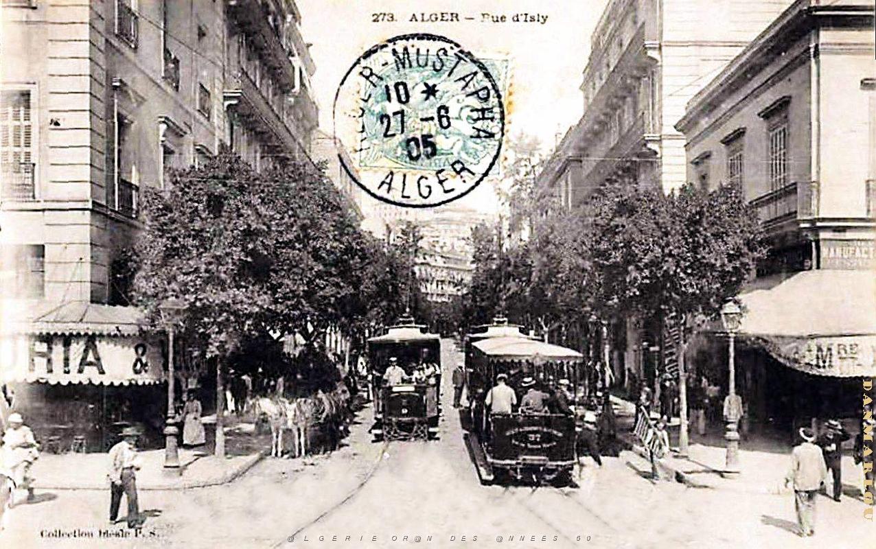 2243- Alger - Rue d'Isly - 1905.jpg